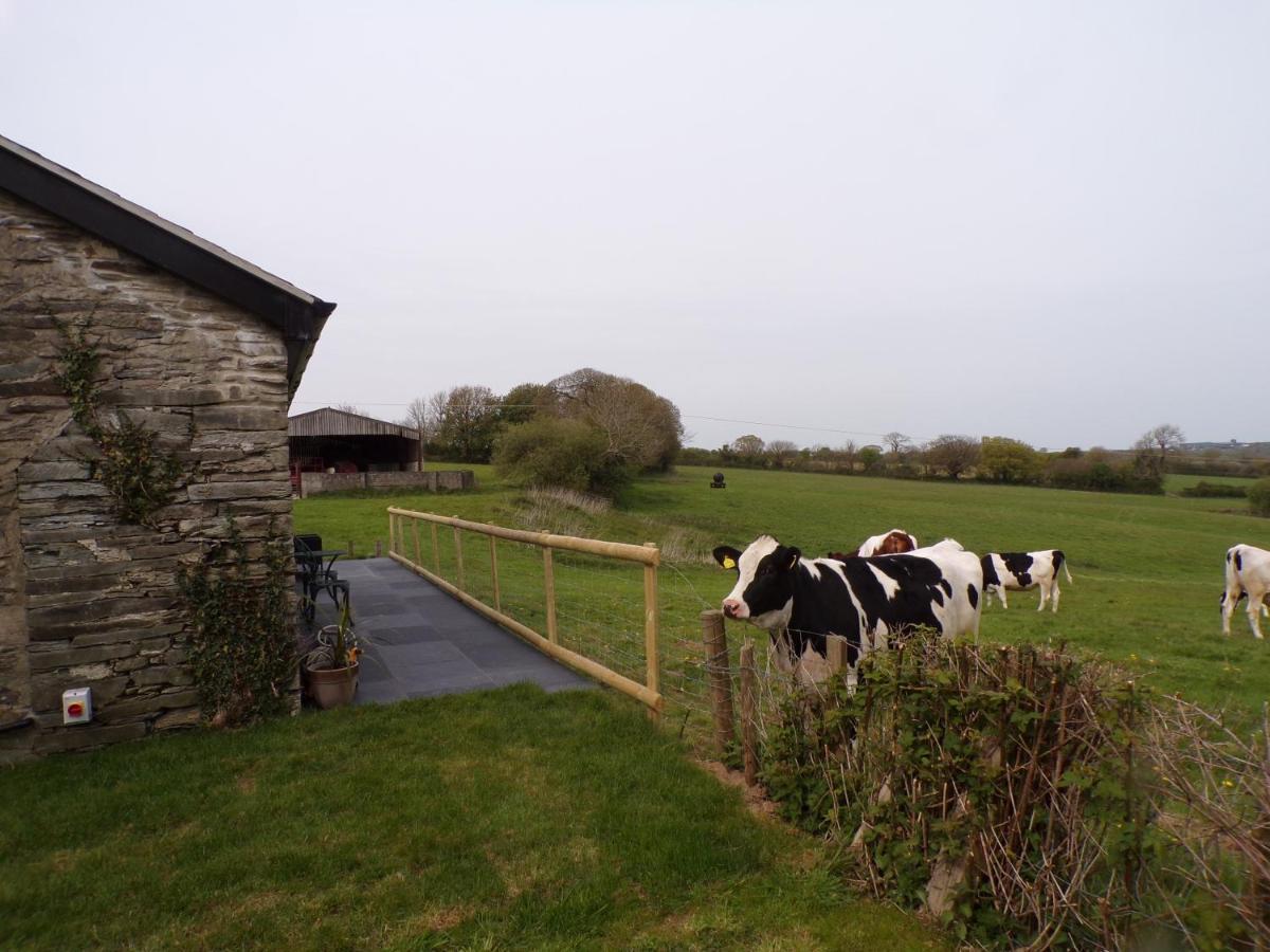 Detached Barn With Valley Views Near Cardigan Vila Exterior foto